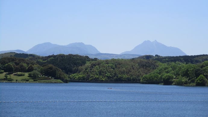 るるパーク(杵築市)のネモフイラとポピー 千財農園(宇佐市)の藤の花とバラ 大分県