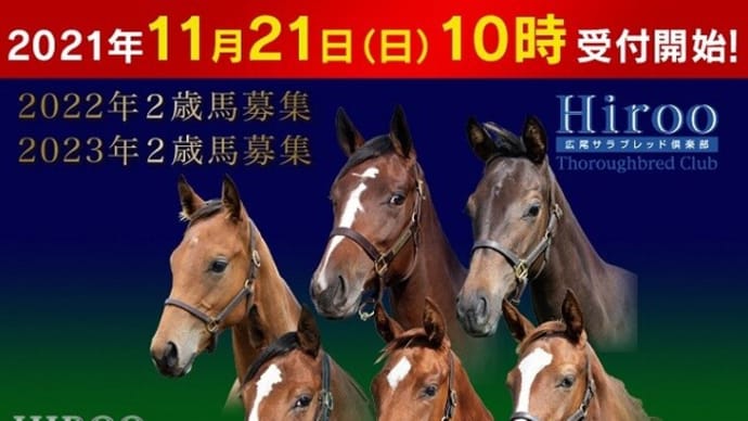 広尾TC・2021年秋追加募集馬全容公開!(°◇°;)