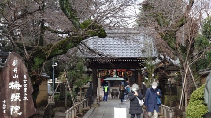 今年も新井大師（新井山・梅照院）にやって来ましたよぉ～お詣り一番！