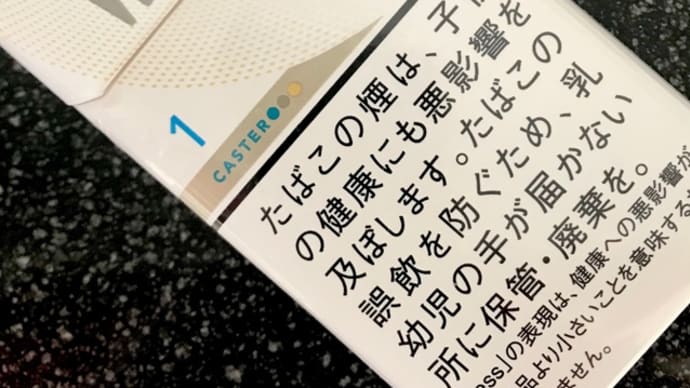 Winston Caster について〈英訳付〉
