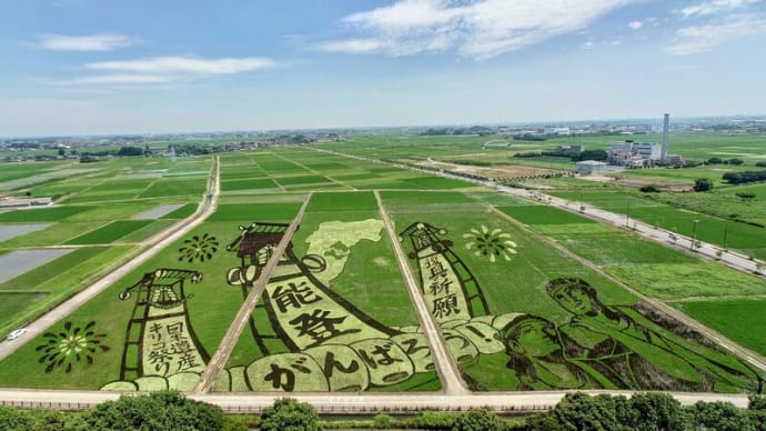 田んぼアート、行田の