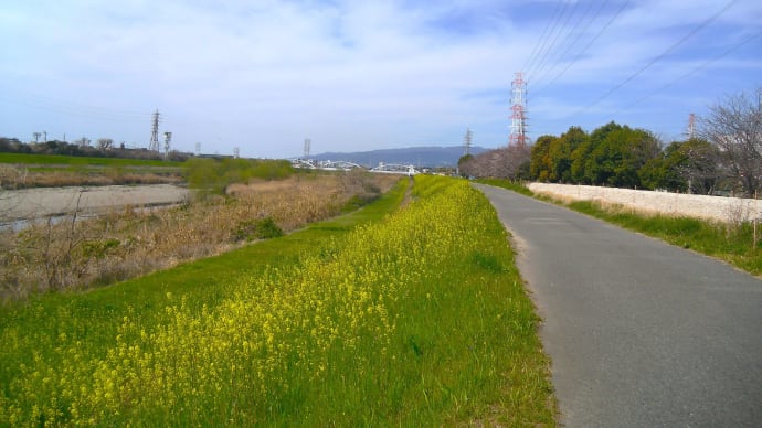きょうの風景 ・・・ 3月31日 猪名川から農業公園へ