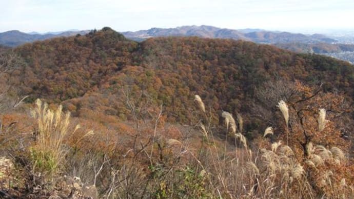 足利 天狗山