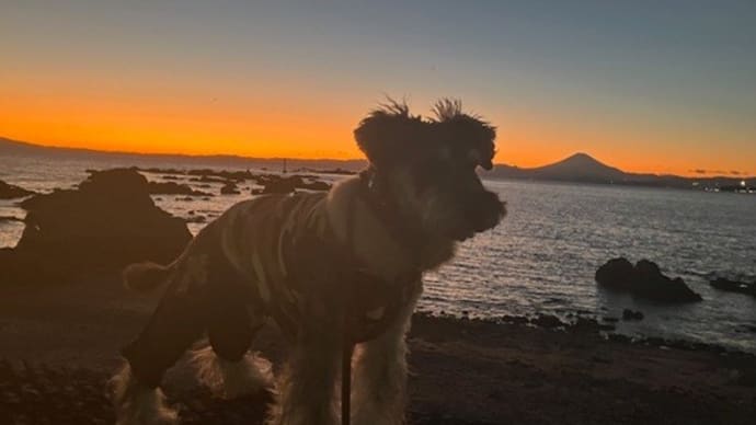 夕日と富士山を見なが海岸散歩