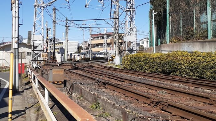 巣鴨新田に春が来た!