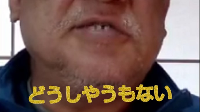 Ж リチャードコシミズ独立党気質者についてのかおりん助教授の講義 Ж