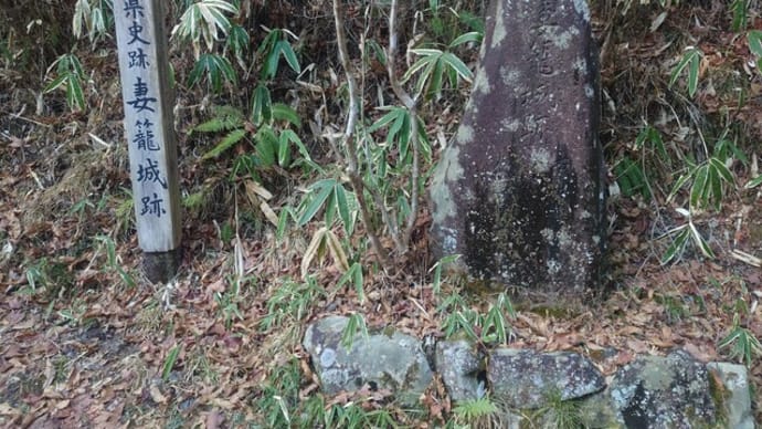 妻籠城(2024年2月11日)