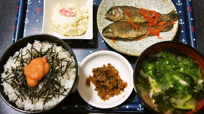 家で朝ご飯(明太子ご飯、虹鱒の紅花漬、ズッキーニとエリンギの味噌汁等)(2020年5月1日)