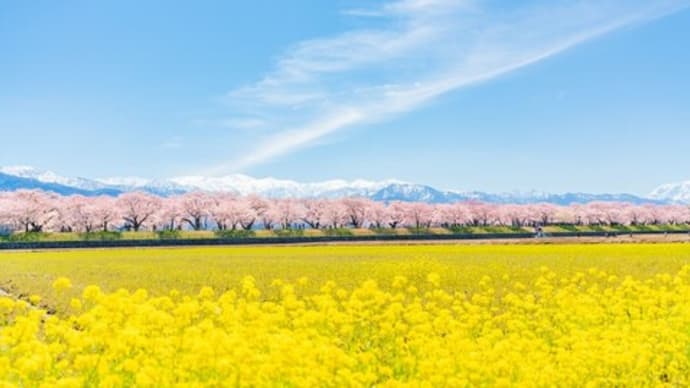宇宙の元旦《春分》の過ごし方