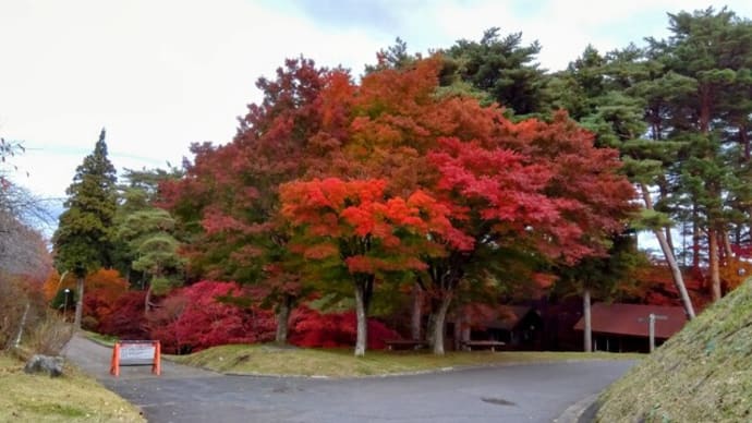紅葉はおしまいに近い・らしい