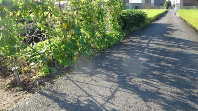 2019/09/17　引っ越しを考えている
