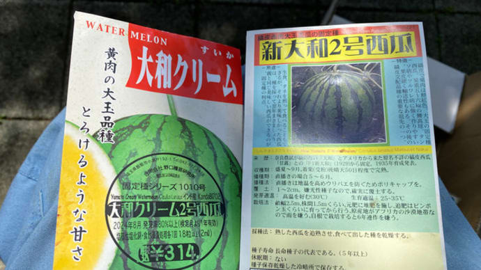 明日から天気が崩れるらしい。