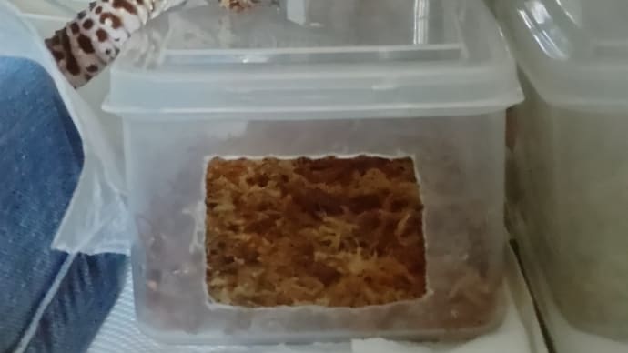 ごちゃ混ぜ