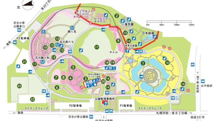 【札幌市北区 百合が原公園のバラ】⑦ー③