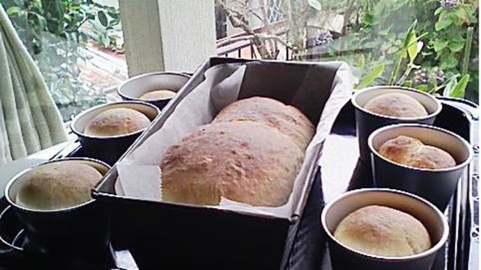 【ホームベーカリー】天然酵母パン・・つくり（ＰＡＲＴ－３）