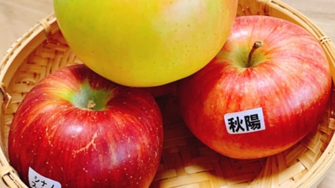 秋の果物。
