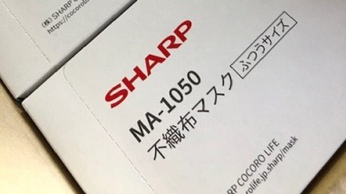 今日の事
