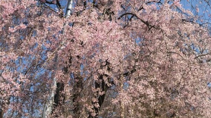 自粛生活はこんなにも体力低下