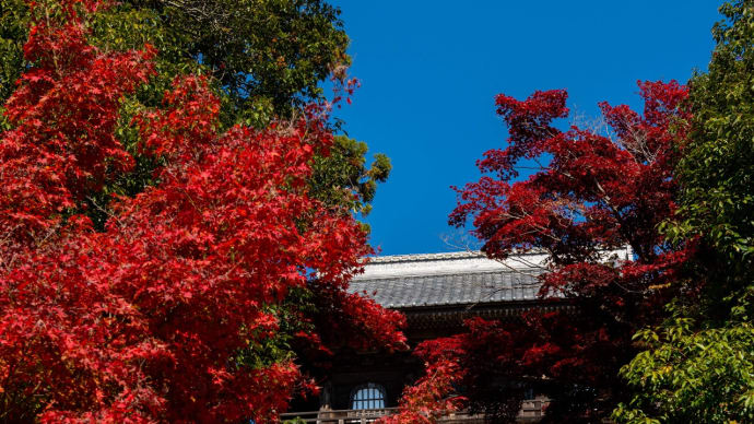 箸蔵寺　秋の大祭