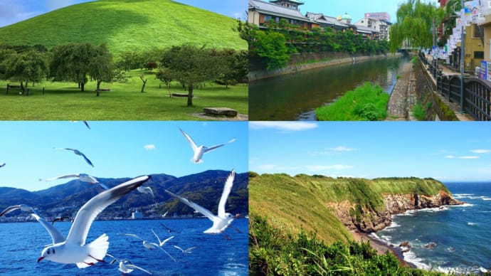 伊東は、行って良し♪住んで良し♪の街で