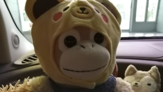 久しぶりにかつや