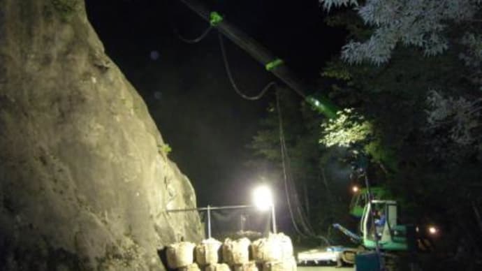 昼間(夜間)のパパ 5