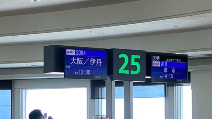 JAL修行 便乗 8