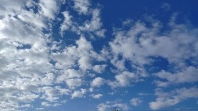 今朝の空 植物性タンパク質のお麩