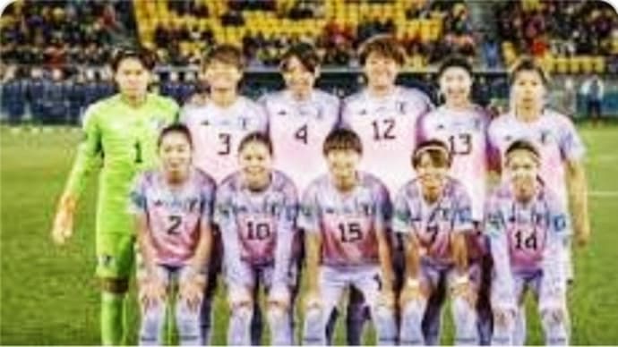 女子サッカーwcupは ベスト８で敗退