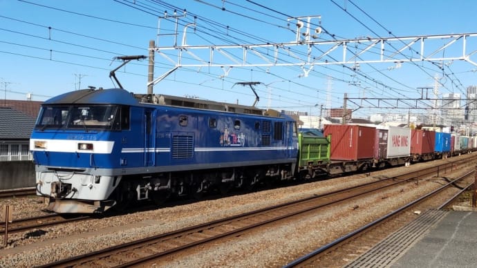 EF210-115 大型コンテナ牽引(4072レ)【尻手駅:南武支線】2024.11.29