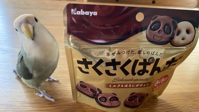 さくさくぱんだ/「ネコ、ニャンニャンニャン」/スイスでもワクパス反対デモ