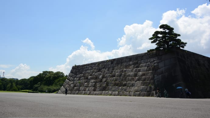 皇居・四季便り(緑の八月)