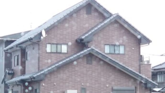 シミュラクラ現象 ∵ 🏡
