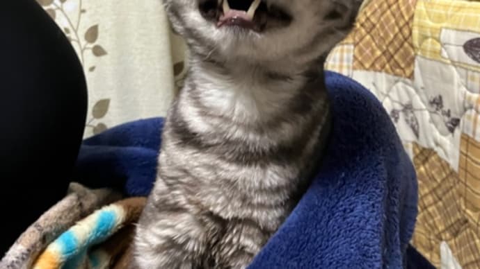 お残しはダメ