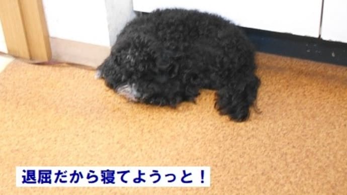 これからです!