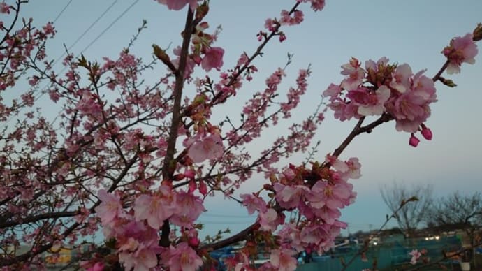 春の嵐の後は