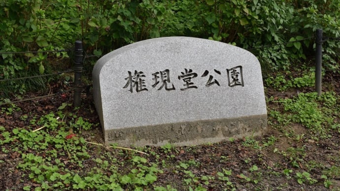 曼珠沙華狩り 埼玉県幸手市 権現堂公園(1)第15回曼珠沙華まつり中止