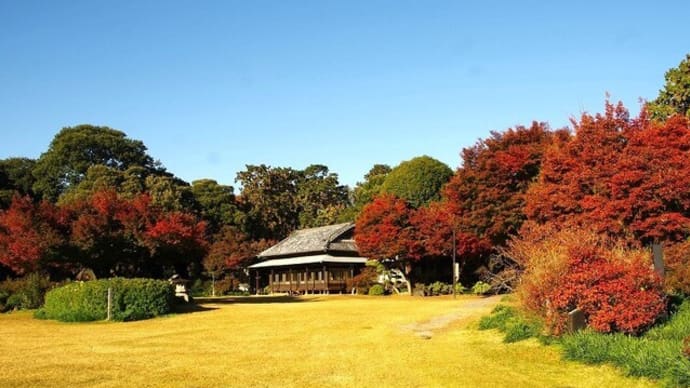 旧秋元別邸の紅葉