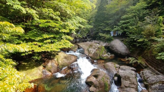 屋久島でダイビング④　観光も