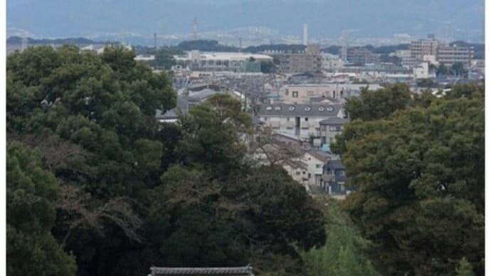 富士山が冬の装い