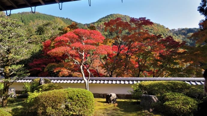 海住山寺の紅葉 ② ~本坊庭園にて秋を愛でる