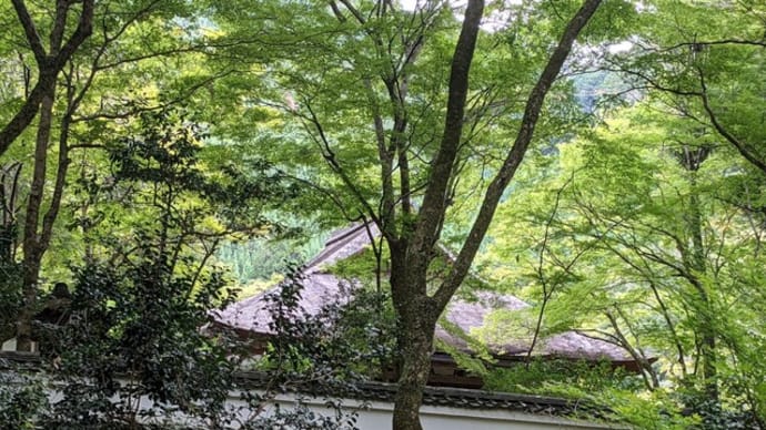 栂尾山高山寺