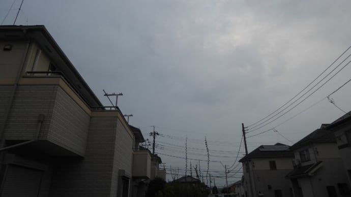 朝から蒸しています