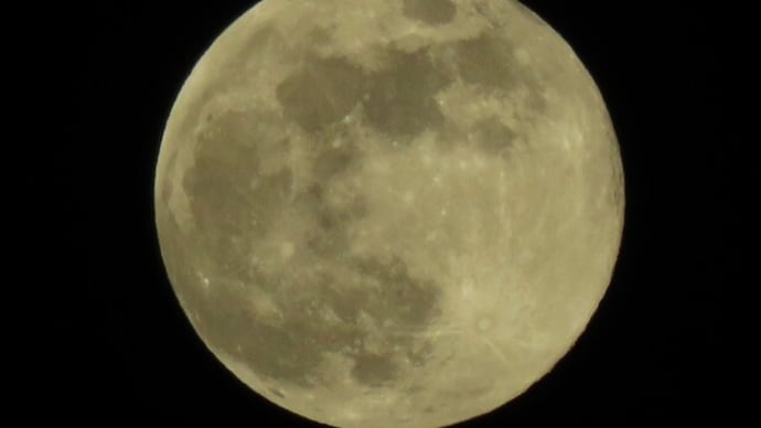トルティーヤとチリコンカンでメキシカンな夜