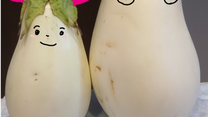 白ナスどんどん採れる '24