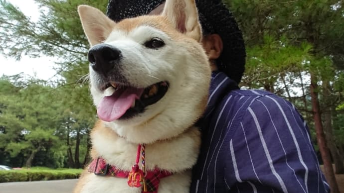 赤松林散歩 190818