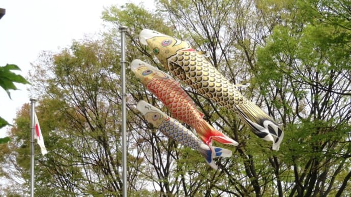 金色のこいのぼり@県庁