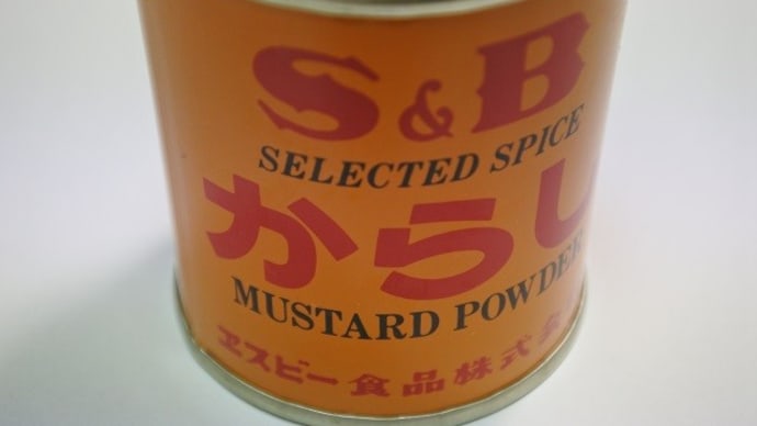 病院に入院して(5)