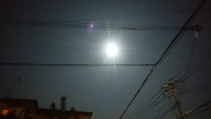 爆睡してました😅😅また夜の営業サボりました…。