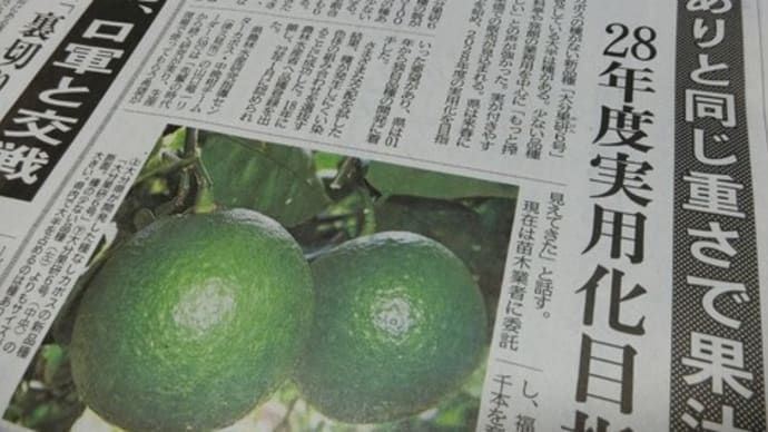 日記1516：カボス